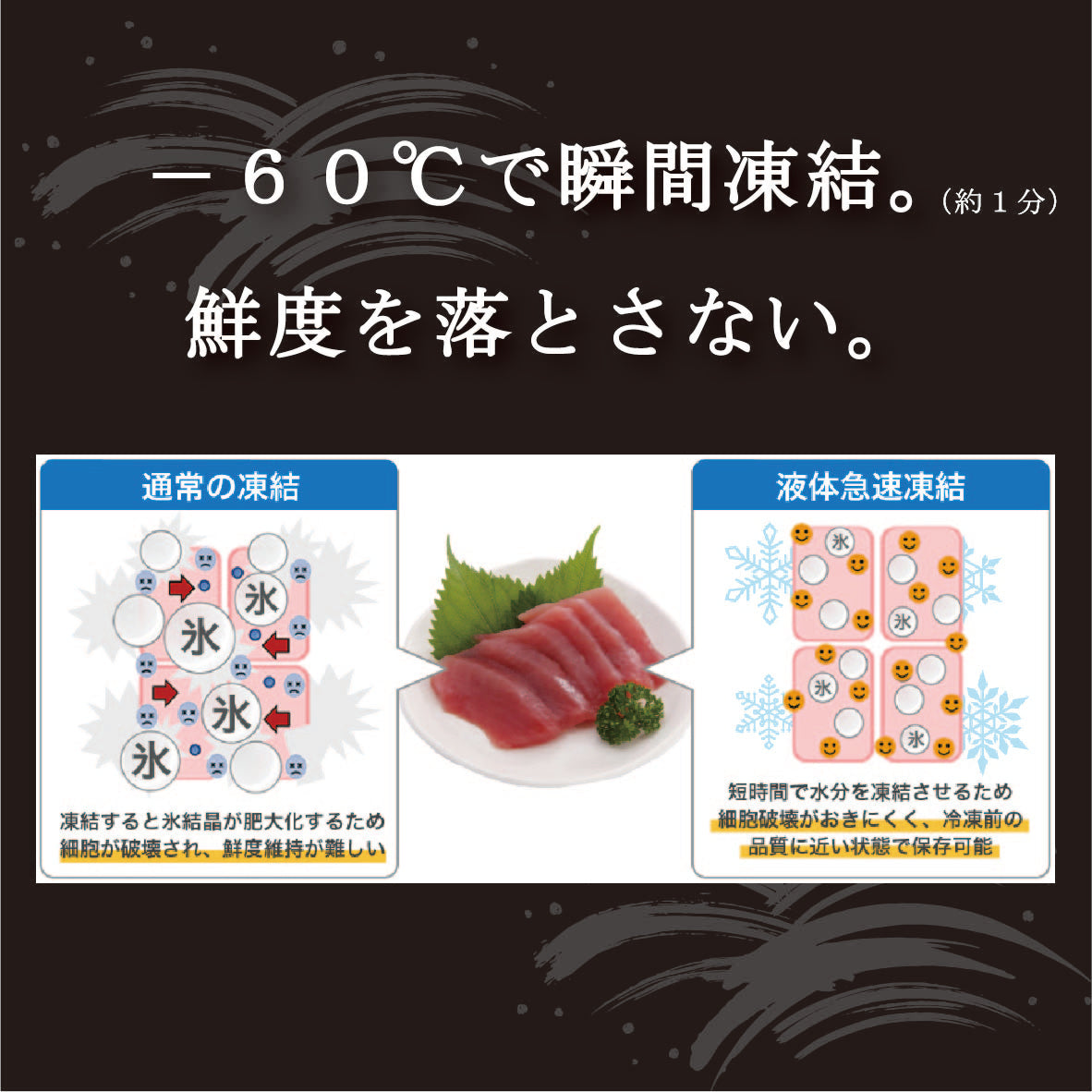 ママカリ酢締め 刺身