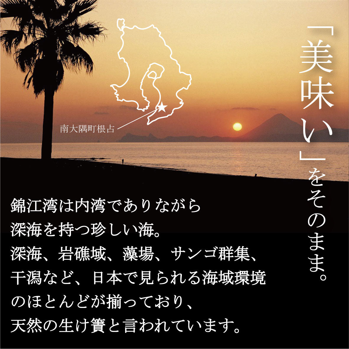 ママカリ酢締め 刺身
