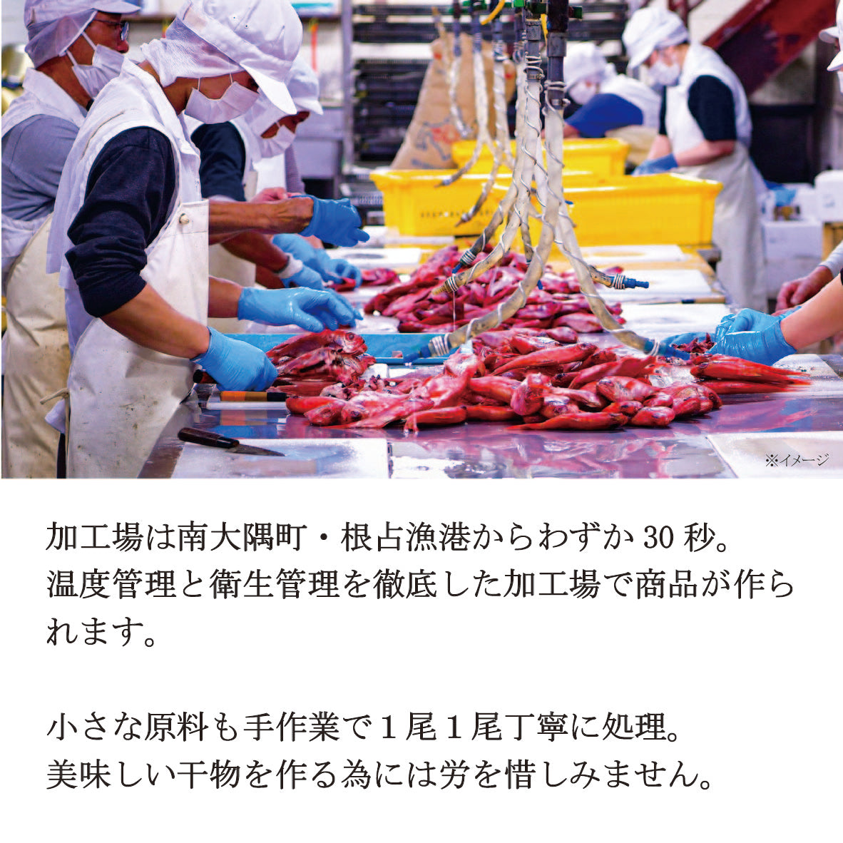 ママカリ酢締め 刺身